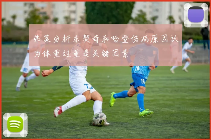 弗莱分析东契奇和哈登伤病原因认为体重过重是关键因素